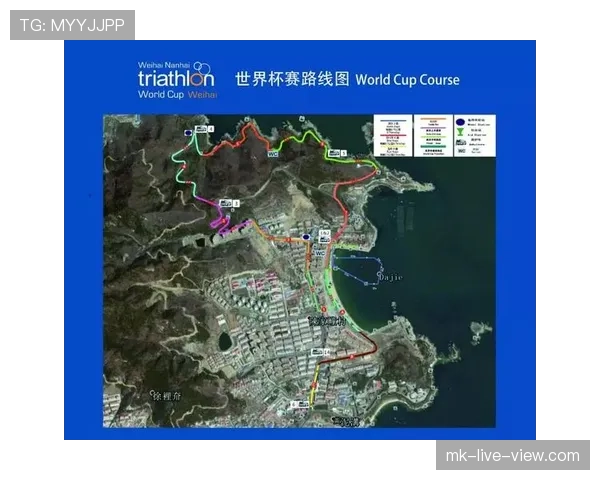 世界杯J组晋级路线图分析
